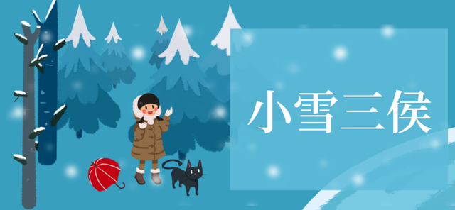 今日小雪2.png