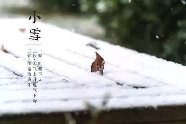 今日小雪3.jpeg