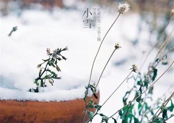 今日小雪4.jpeg