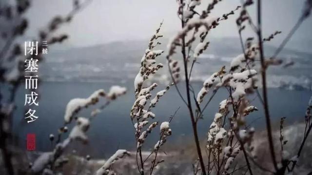 今日小雪5.jpeg