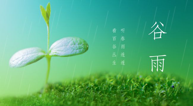 谷雨.jpg