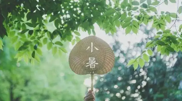 西瓜.png