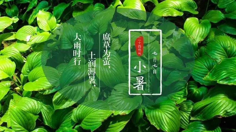 西瓜1.png