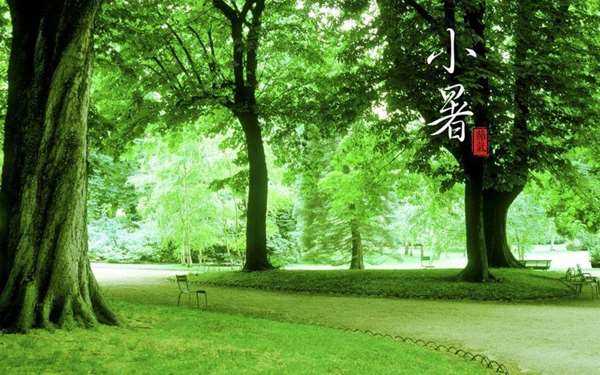 日小暑5.jpg