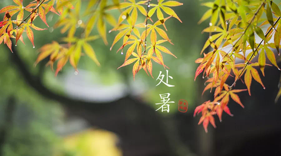 处暑是秋天1.png